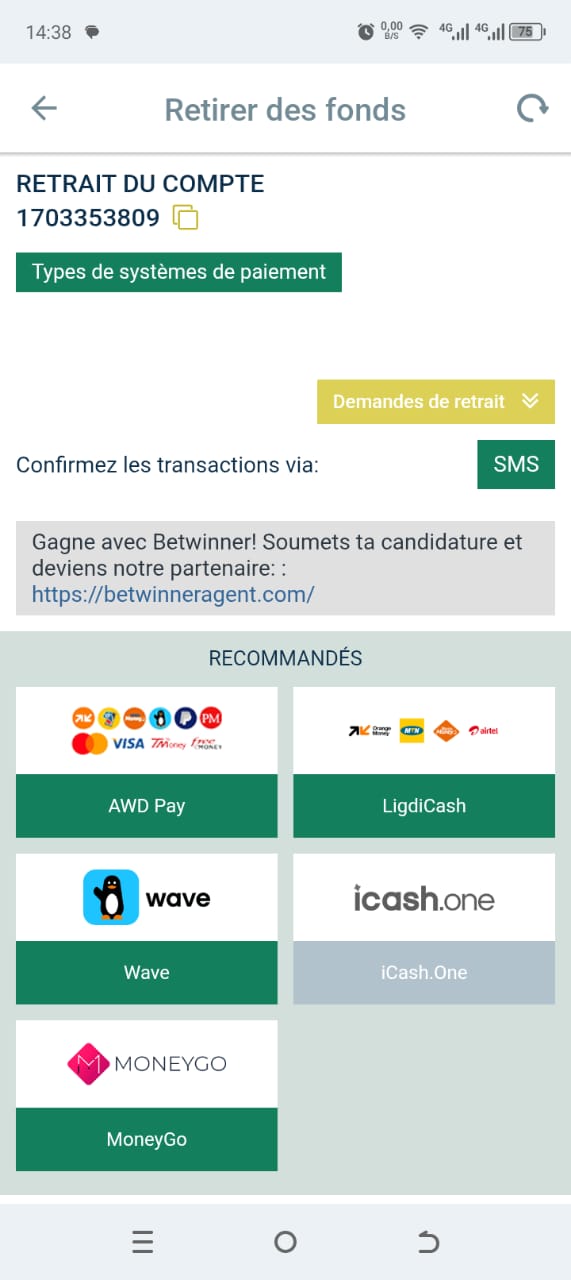 BetWinner — Page Retirer des fonds avec méthodes disponibles